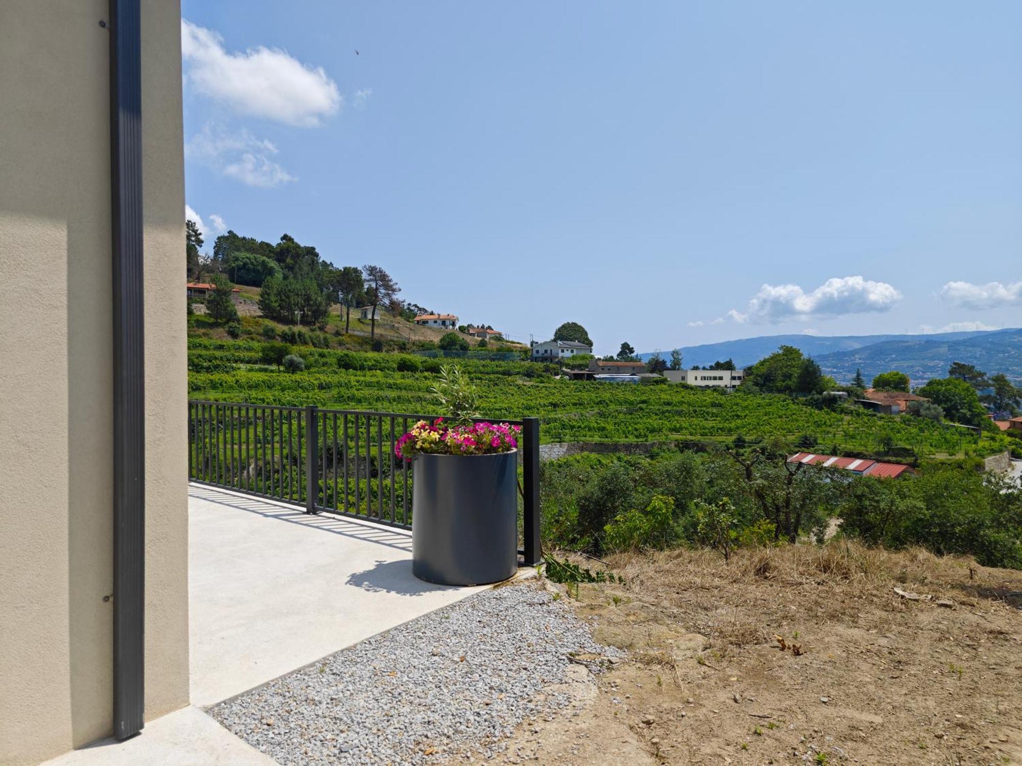 Casa Da Milinha - Villa With A Pool Near Rio Douro Santa Cruz do Douro Exterior photo